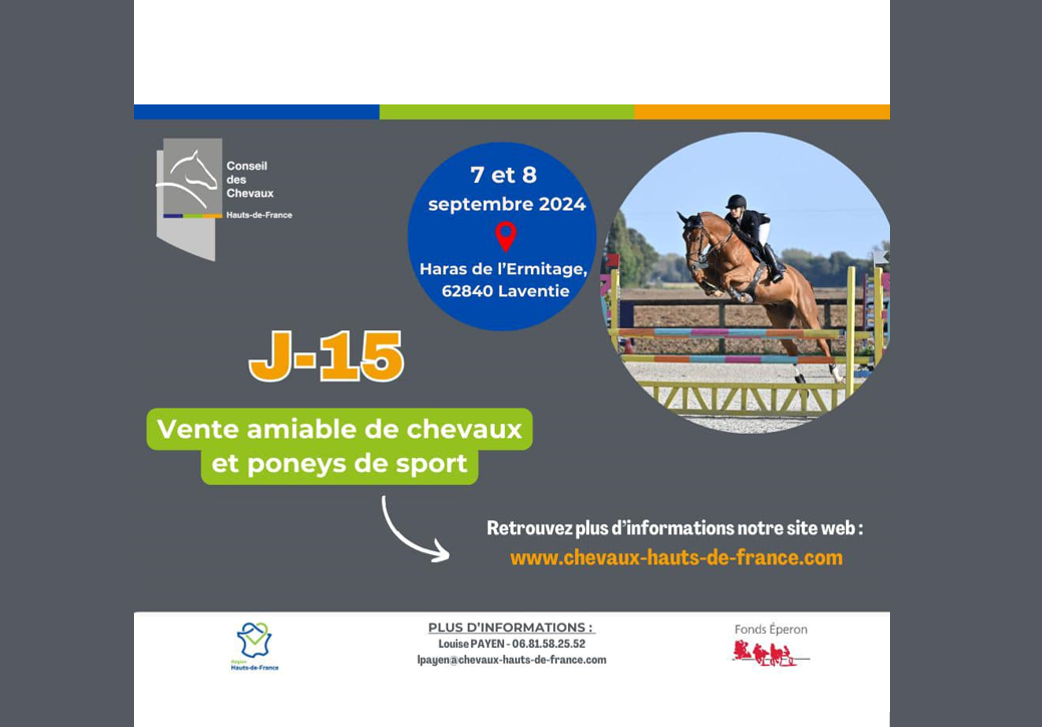 Vente amiable de poneys et chevaux de sport les 7 & 8 septembre 2024 !